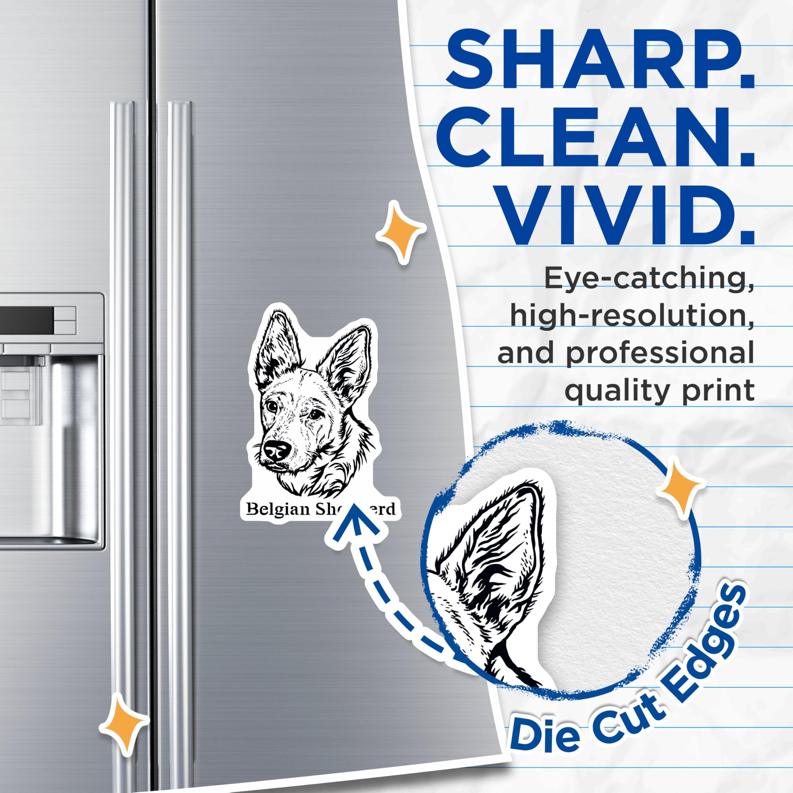 (2 Pack) Belgian Shepherd Dog Magnets - High Detail Canine Art - Ative Animal Magnets for Fridge - Dog Lover Home - 5" On Longest Side - for Cars, Fridges, Toolboxes - Made in USA - MAG4018