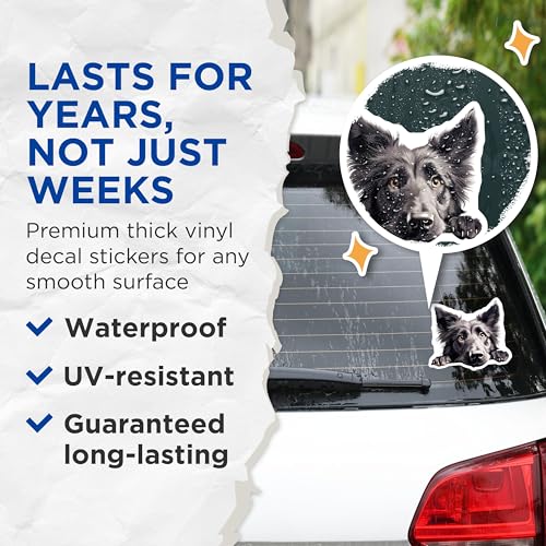 (2 Pack) Dog Lover Stickers - Cute Pet Sticker - Animal Art Stickers - 5" On Longest Side - Sticks to Smooth Flat Surfaces - Made in USA - BMCS9861
