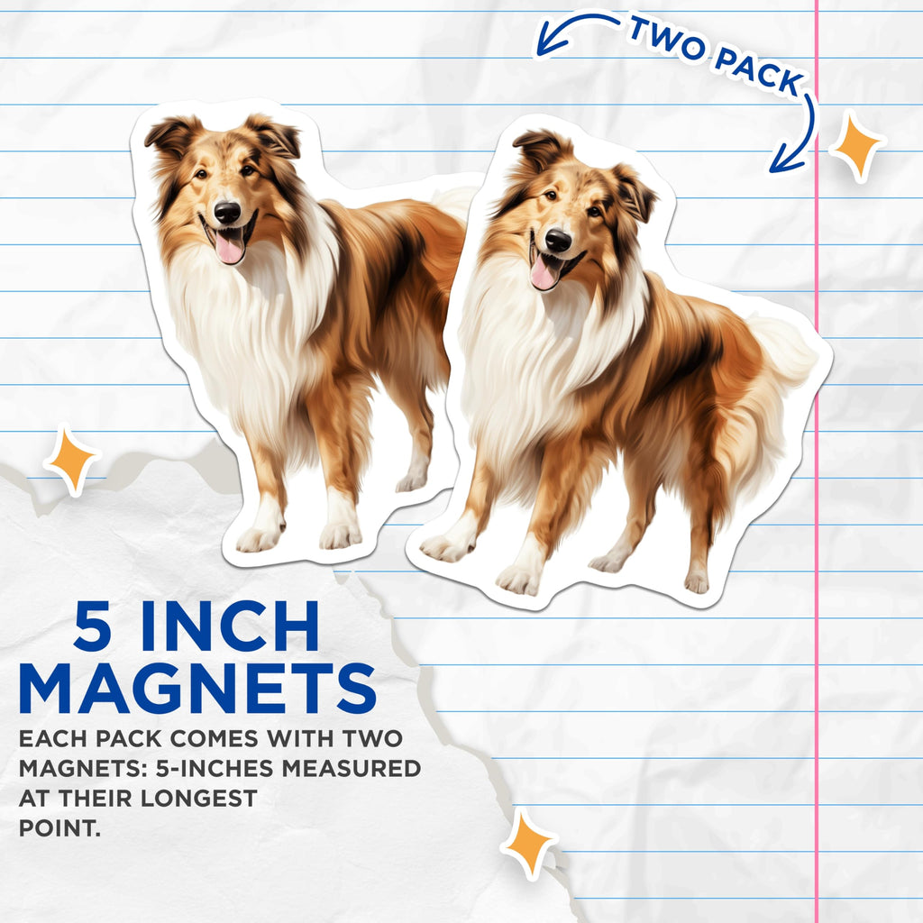 (2 Pack) Rough Collie Dog Magnets - Pet Lover Fridge Decor - Happy Canine Refrigerator Art - 5 Inches On Longest Side - Thick Durable Magnet - Made in USA - MAG24822