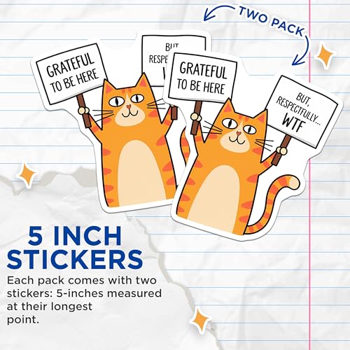 (2 Pack) Grateful to Be Here Stickers - But Respectfully WTF Stickers - Funny Cat Meme Stickers - 5" On Longest Side - Sticks to Any Smooth Flat Surface - Made in USA - BMCS3308