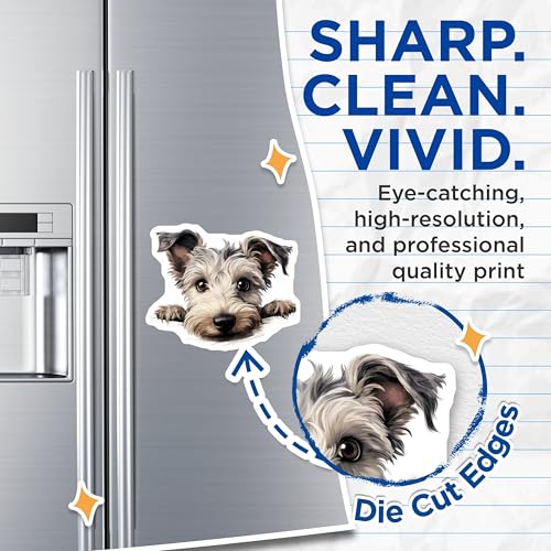 (2 Pack) Animal Lover Kitchen Decor Magnet - Pet Lover Accessories - 5" On Longest Side - Sticks to Smooth Flat Surfaces - Made in USA - MAG10259