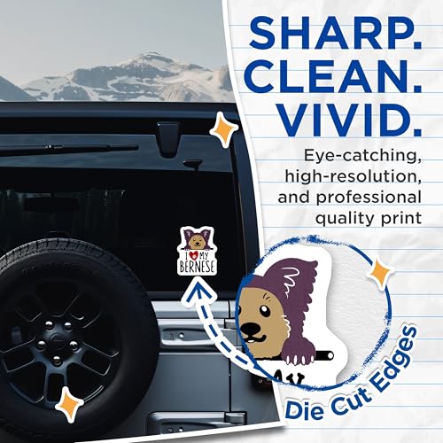 (2 Pack) I Love My Bernese Stickers - Dog Lover Decal - Cute Dog Paw Print Stickers - 5" On Longest Side - Sticks to Smooth Flat Surfaces - Made in USA - BMCS4300