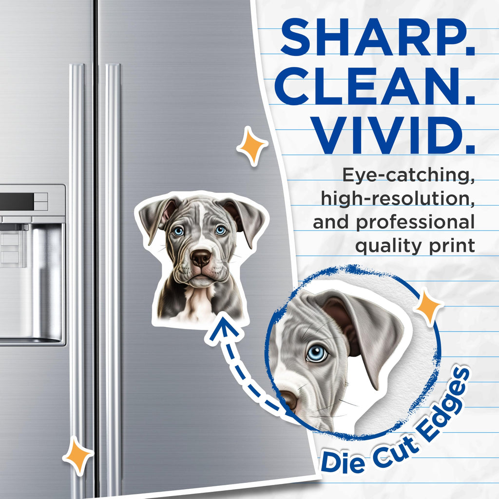 (2 Pack) Pitbull Puppy Magnets - Blue Eyed Dog Lover Decor - Pet Mom Car Fridge Magnet - 5 Inches On Longest Side - Thick Durable Magnet - Made in USA - MAG30846