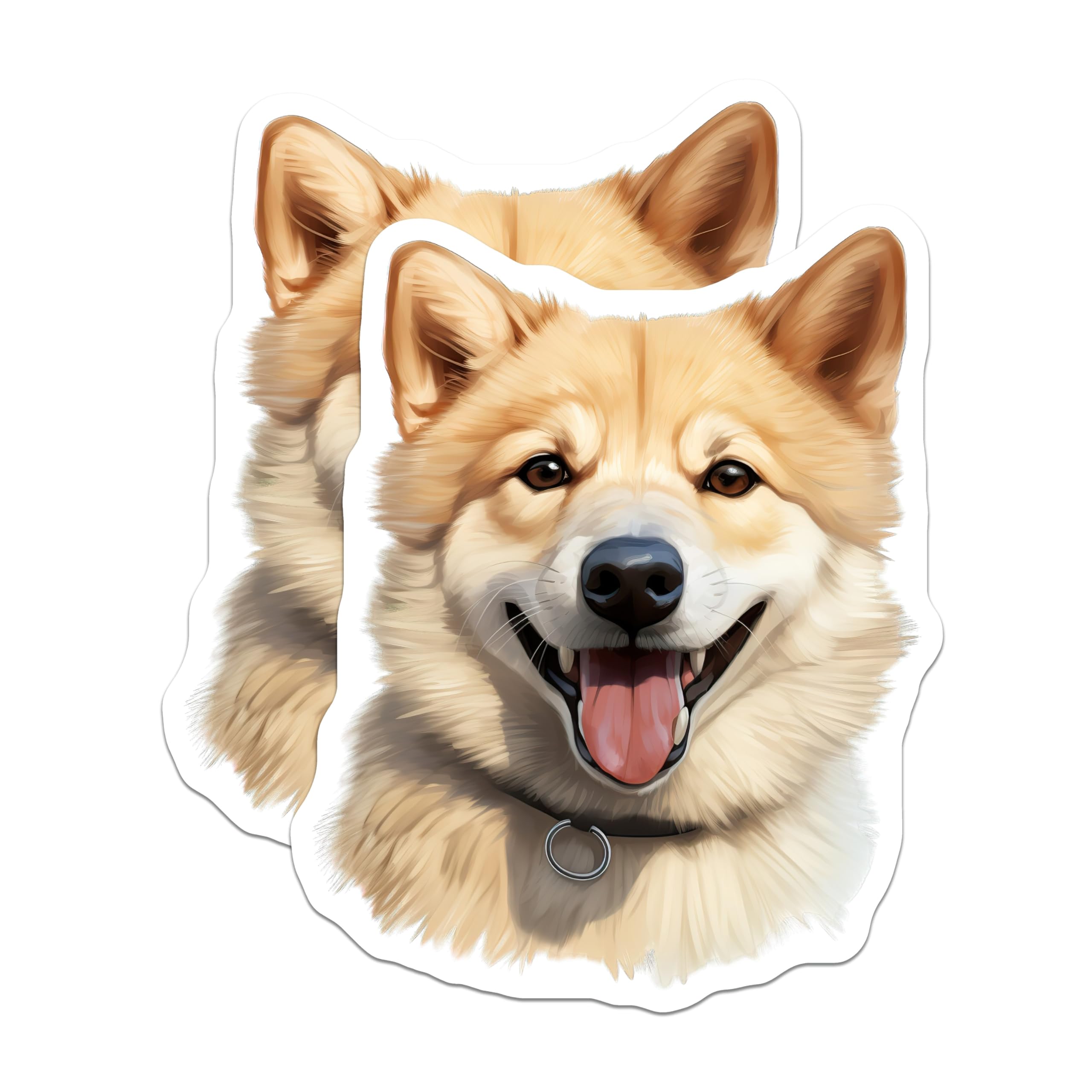 (2 Pack) Shiba Inu Magnets - Smiling Fluffy Dog - Pet Lover Fridge Decor - Dog Owner Car Accessory - Happy Canine Kitchen Art - 5 Inches On Longest Side - Thick Durable Magnet - Made in USA - MAG29822