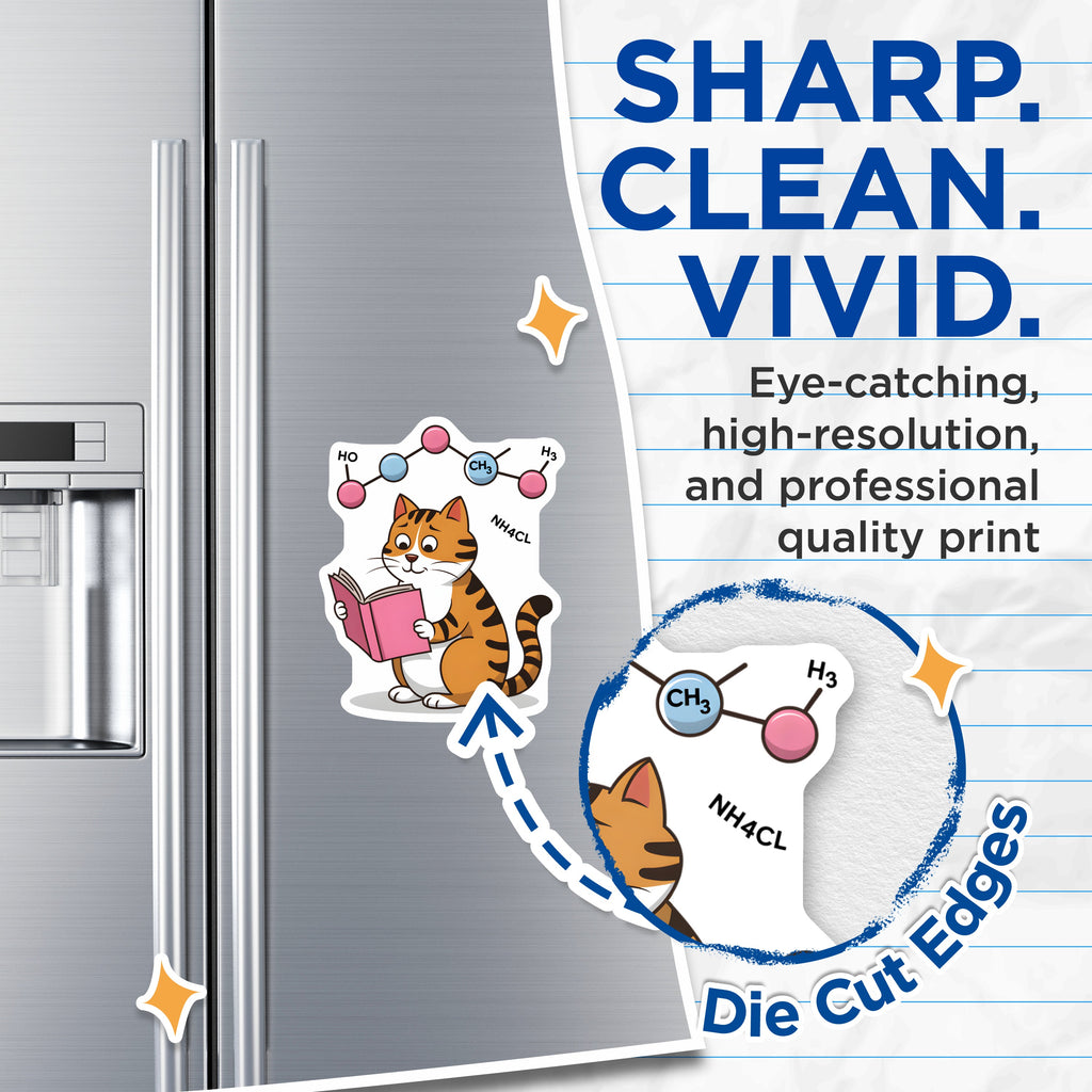 (2 Pack) Chemistry Cat Magnets - Science Student Decor - Teacher Appreciation for Chemists - 5 Inches On Longest Side - Thick Durable Magnet - Made in USA - MAG37544