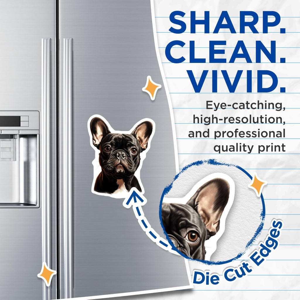(2 Pack) Black French Bulldog Magnets - Frenchie Dog Lover Decor - Pet Owner Collectible Art - Puppy Fridge Magnet Set - 5 Inches On Longest Side - Thick Durable Magnet - Made in USA - MAG30254