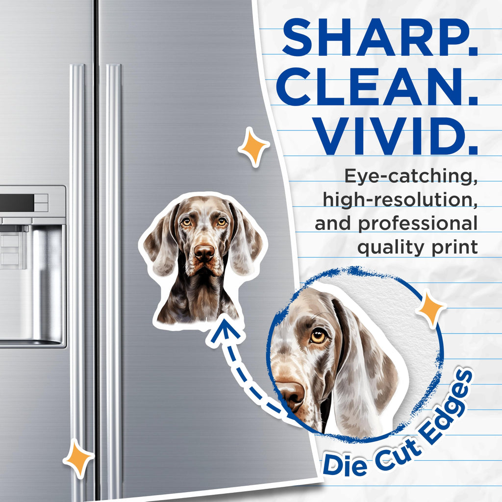 (2 Pack) Weimaraner Dog Magnets - Weimaraner Owner Fridge Accent - Canine Breed Art - Pet Lover Home Decor - 5 Inches On Longest Side - Thick Durable Magnet - Made in USA - MAG27161