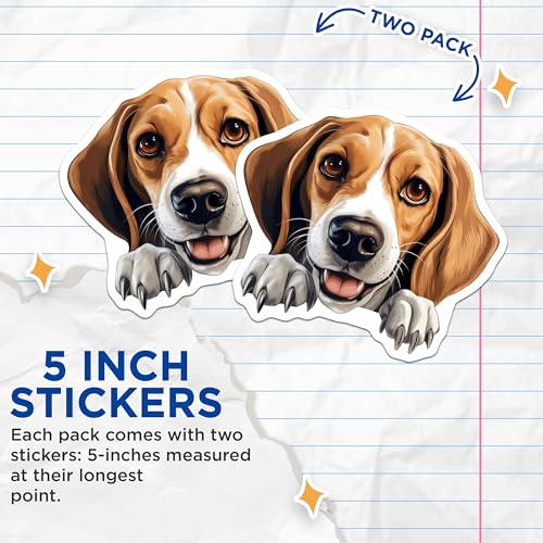 (2 Pack) Beagle Stickers - Cute Dog Decal - Puppy Pet Sticker Pack - 5" On Longest Side - Sticks to Smooth Flat Surfaces - Made in USA - BMCS9822