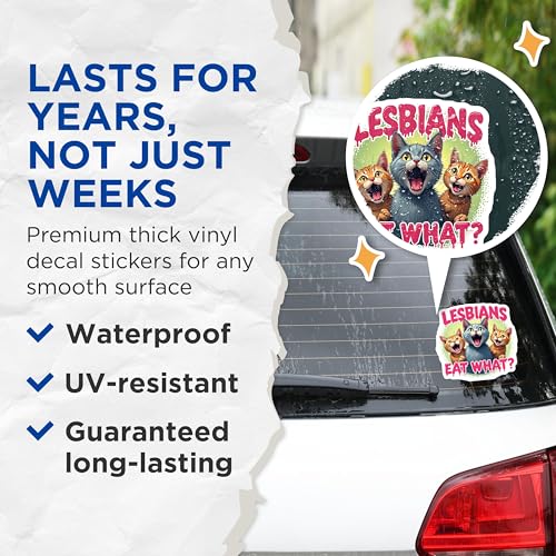 (2 Pack) Funny Lesbian Pride Stickers - Cat Meme Stickers - LGBTQ+ Humorous Stickers - 5" On Longest Side - Sticks to Smooth Flat Surfaces - Made in USA - BMCS4674