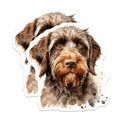 (2 Pack) German Wirehaired Pointer Magnets - Dog Lover Decor - Pet Breed Art Display - 5 Inches On Longest Side - Thick Durable Magnet - Made in USA - MAG24352