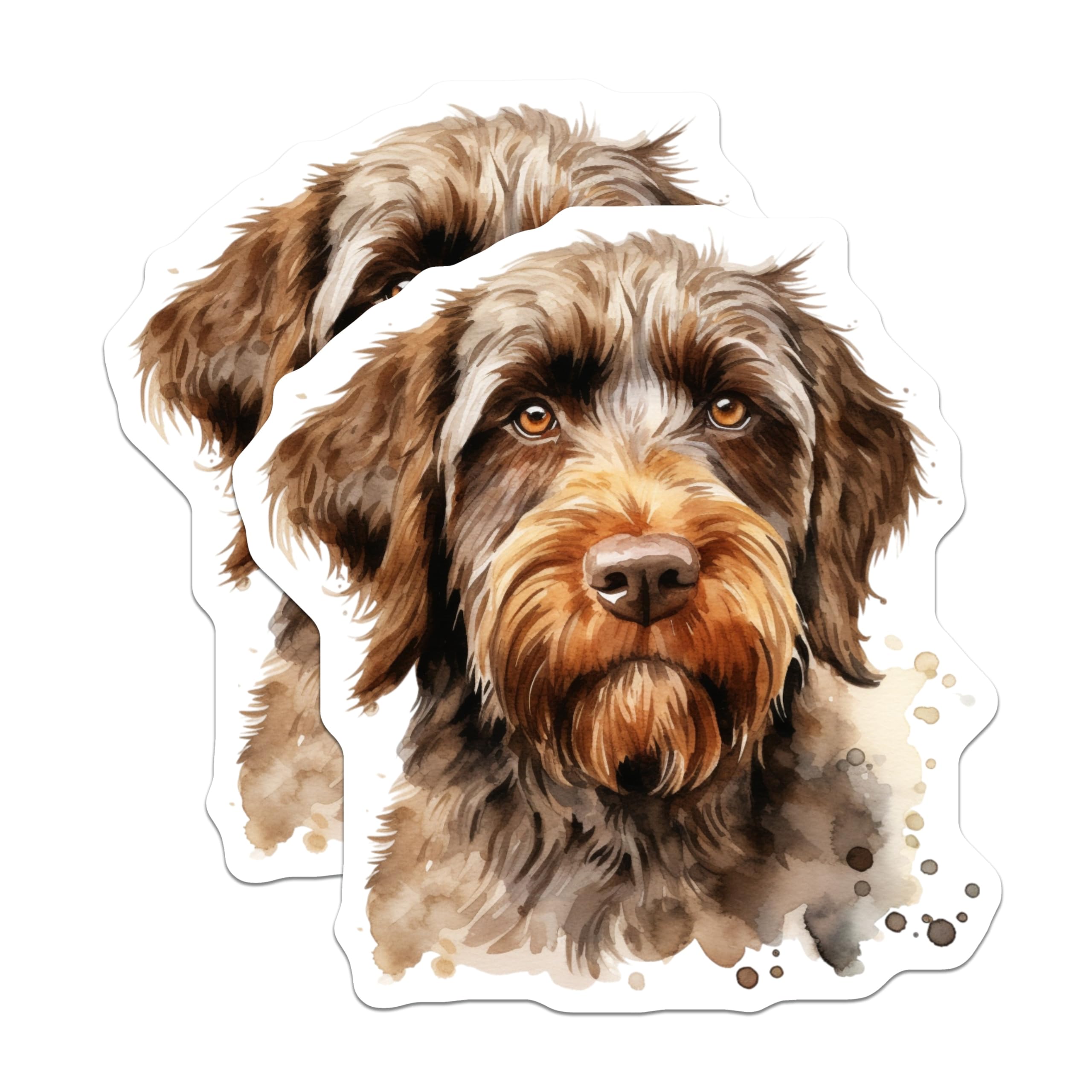 (2 Pack) German Wirehaired Pointer Magnets - Dog Lover Decor - Pet Breed Art Display - 5 Inches On Longest Side - Thick Durable Magnet - Made in USA - MAG24352