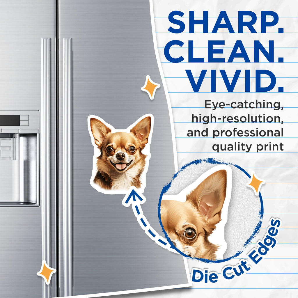 (2 Pack) Happy Chihuahua Magnets - Smiling Dog Decor - Pet Lover Collectible - 5 Inches On Longest Side - Thick Durable Magnet - Made in USA - MAG23436
