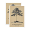 (2 Pack) Longleaf Pine Stickers - Alabama State Tree - Southern Tree Art - 5" On Longest Side - Sticks to Smooth Flat Surfaces - Made in USA - BMCS18810