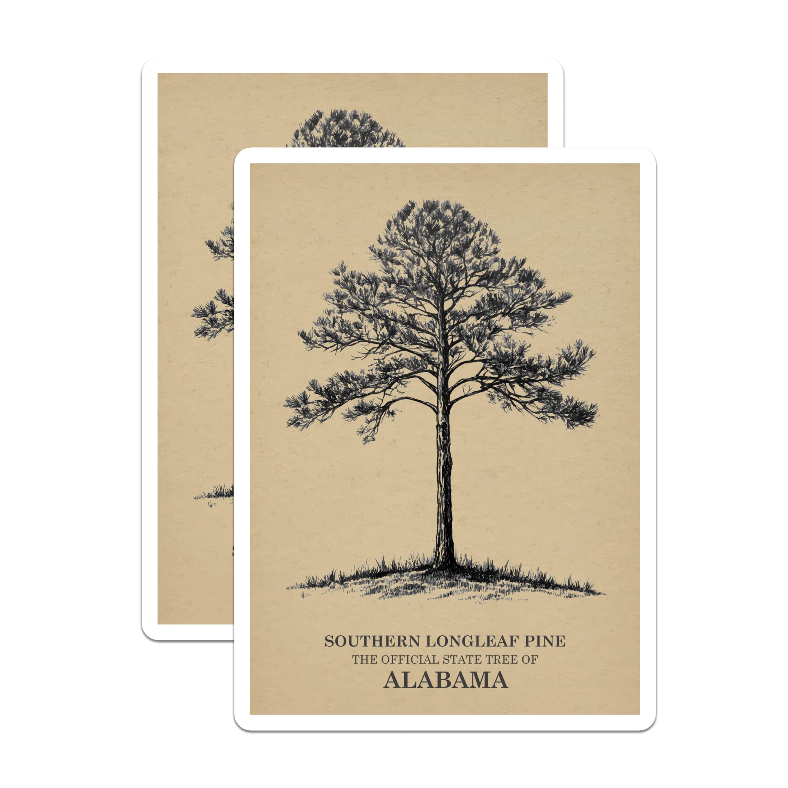 (2 Pack) Longleaf Pine Stickers - Alabama State Tree - Southern Tree Art - 5" On Longest Side - Sticks to Smooth Flat Surfaces - Made in USA - BMCS18810
