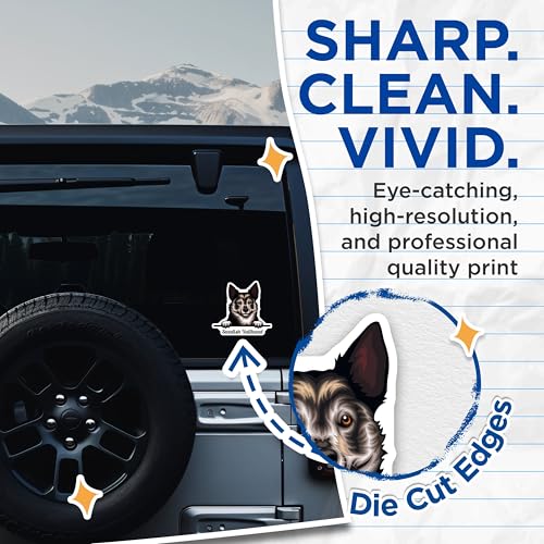 (2 Pack) Swedish Vallhund Stickers - Dog Breed Decal - Cute Pet Stickers for Laptops and Water Bottles - 5" On Longest Side - Sticks to Smooth Flat Surfaces - Made in USA - BMCS4223