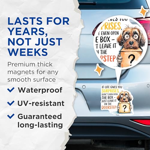 (2 Pack) Funny Dog Quote Magnets Magnets - Cute Dog with Box Picture - 5" On Longest Side - Made in USA - Sticks to Refrigerators & Metal Surfaces - MAG8751
