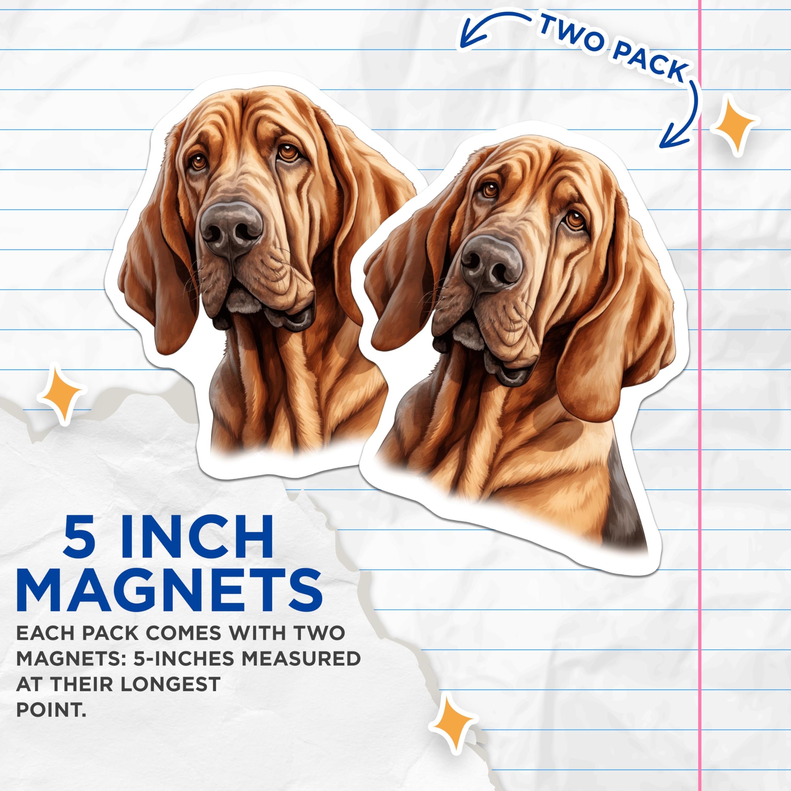 (2 Pack) Bloodhound Dog Magnets - Dog Lover Magnet Set - Dog Mom Dad Present - 5 Inches On Longest Side - Thick Durable Magnet - Made in USA - MAG28413