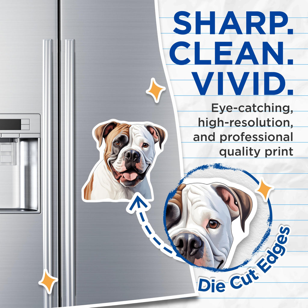 (2 Pack) American Bulldog Magnets - Dog Lover Decor - Pet Parent Fridge Art - 5 Inches On Longest Side - Thick Durable Magnet - Made in USA - MAG25847