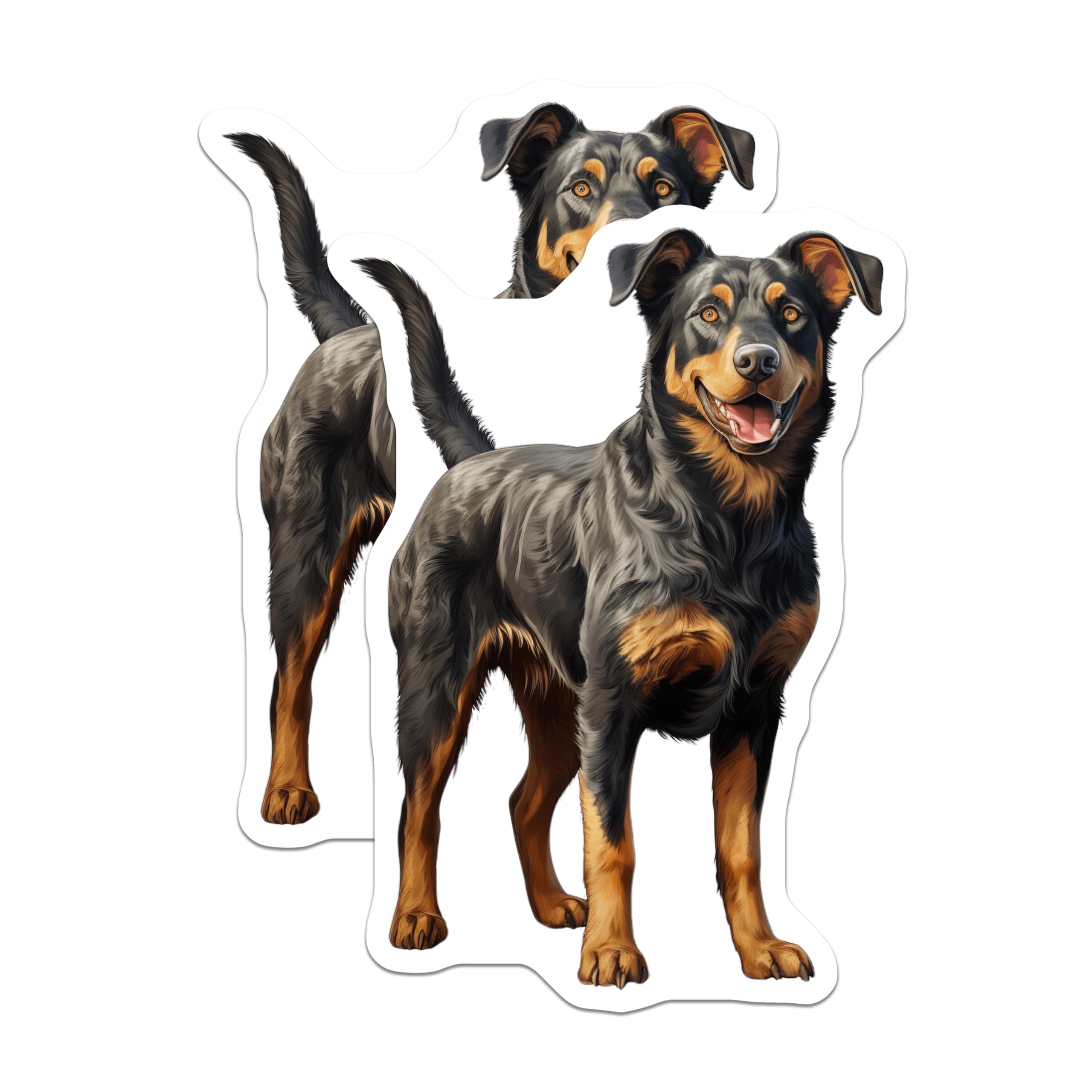 (2 Pack) Rottweiler Dog Magnets - Happy Pet Lover Decor - Animal Art Fridge Magnets - 5 Inches On Longest Side - Thick Durable Magnet - Made in USA - MAG30543