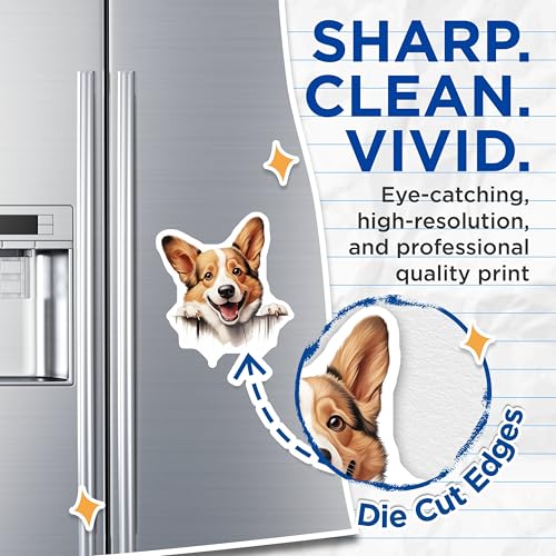(2 Pack) Cute Animal Magnet - Dog Lover Decor - 5" On Longest Side - Sticks to Smooth Flat Surfaces - Made in USA - MAG10245