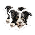 (2 Pack) Border Collie Dog Stickers - Cute Dog Decal - Pet Enthusiast Gift Sticker - 5" On Longest Side - Sticks to Smooth Flat Surfaces - Made in USA - BMCS9881
