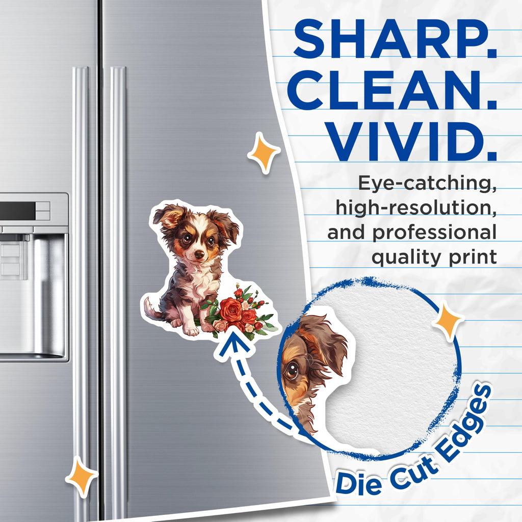 (2 Pack) Australian Shepherd Magnets - Cute Puppy - Floral Home Decor - 5" On Longest Side - Premium Magnet - for Cars, Refrigerators, Toolboxes, Lockers - Made in USA - MAG17105