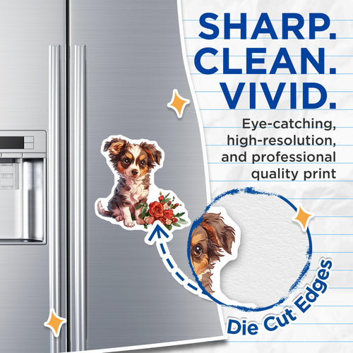 (2 Pack) Australian Shepherd Magnets - Cute Puppy - Floral Home Decor - 5" On Longest Side - Premium Magnet - for Cars, Refrigerators, Toolboxes, Lockers - Made in USA - MAG17105
