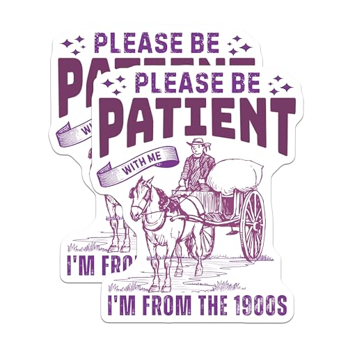 (2 Pack) Please Be Patient Stickers - Funny Retro Stickers - Humor Decal for Laptops, Water Bottles, and Journals - 5" On Longest Side - Sticks to Any Smooth Flat Surface - Made in USA - BMCS3544