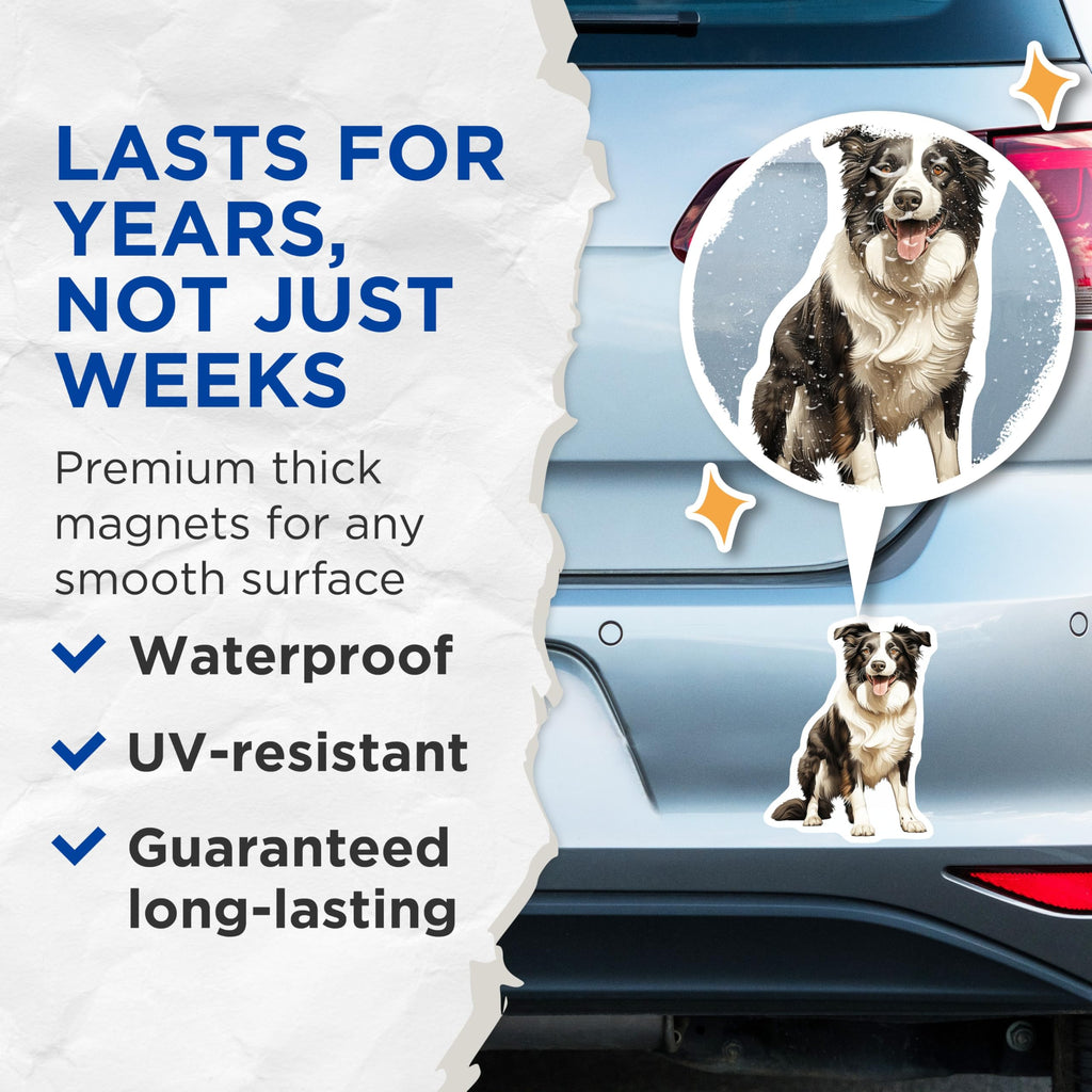 (2 Pack) Border Collie Magnets - Dog Owner Accessories - Herd Dog Fridge Art - 5 Inches On Longest Side - Thick Durable Magnet - Made in USA - MAG27824