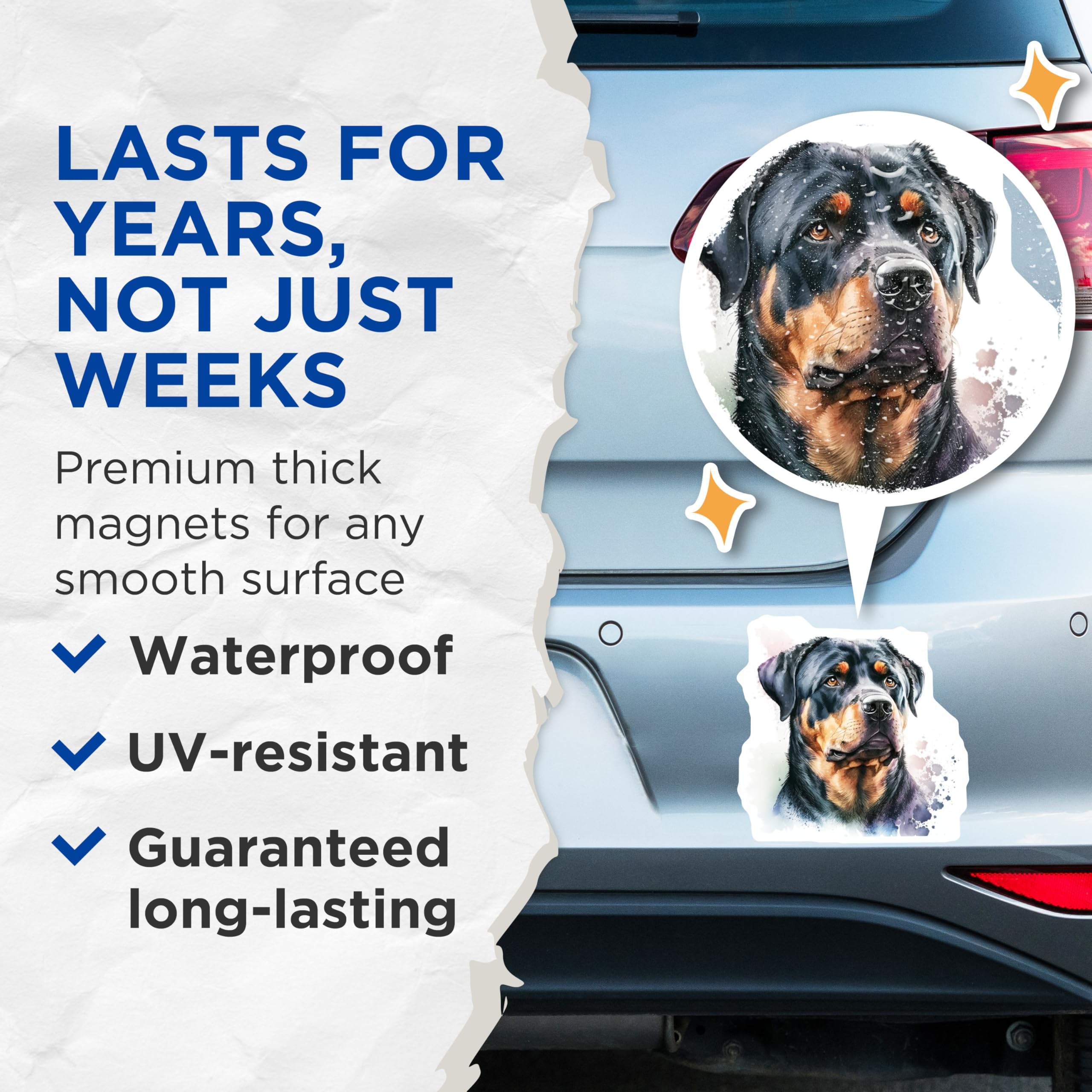 (2 Pack) Rottweiler Magnets - Dog Breed Illustration - Home Decor Magnets - 5" On Longest Side - Premium Magnet - for Cars, Refrigerators, Toolboxes, Lockers - Made in USA - MAG14662