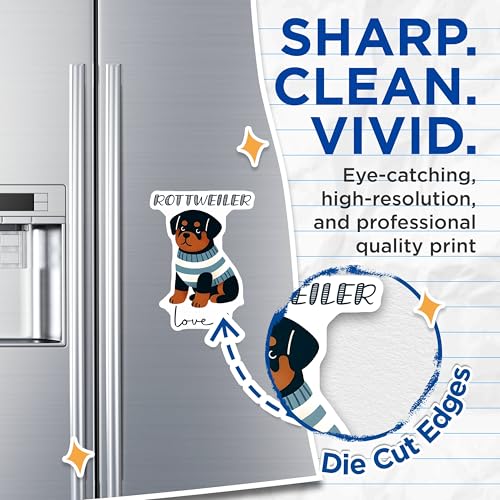 (2 Pack) Rottweiler Magnets - Cute Dog - Animal Lover - 5" On Longest Side - for Cars, Fridges, Toolboxes - Made in USA - MAG7308