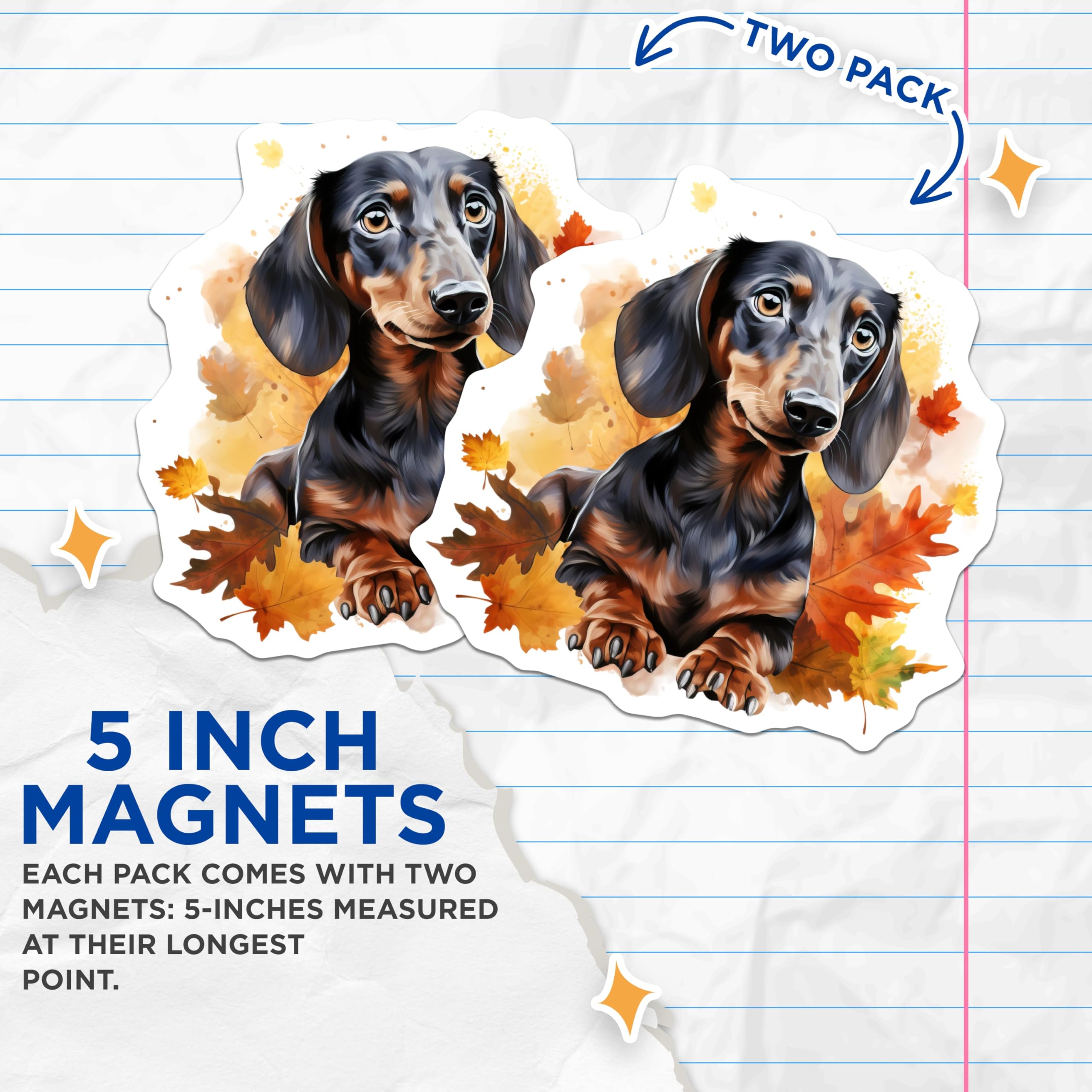(2 Pack) Dachshund Magnets - Autumn Dog Decor - Fall Weenie Dog Art - Watercolor Pet Lover - Doxie Fridge Accent - 5 Inches On Longest Side - Thick Durable Magnet - Made in USA - MAG30219