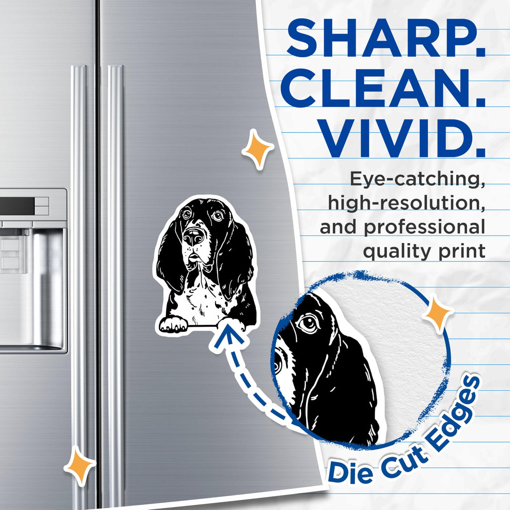 (2 Pack) Bas Hound Dog Magnets - Pet Lover - Animal Fridge Magnet - Dog Enthusiast Magnets - Cute Dog Themed Accessories - 5" On Longest Side - for Cars, Fridges, Toolboxes - Made in USA - MAG4038