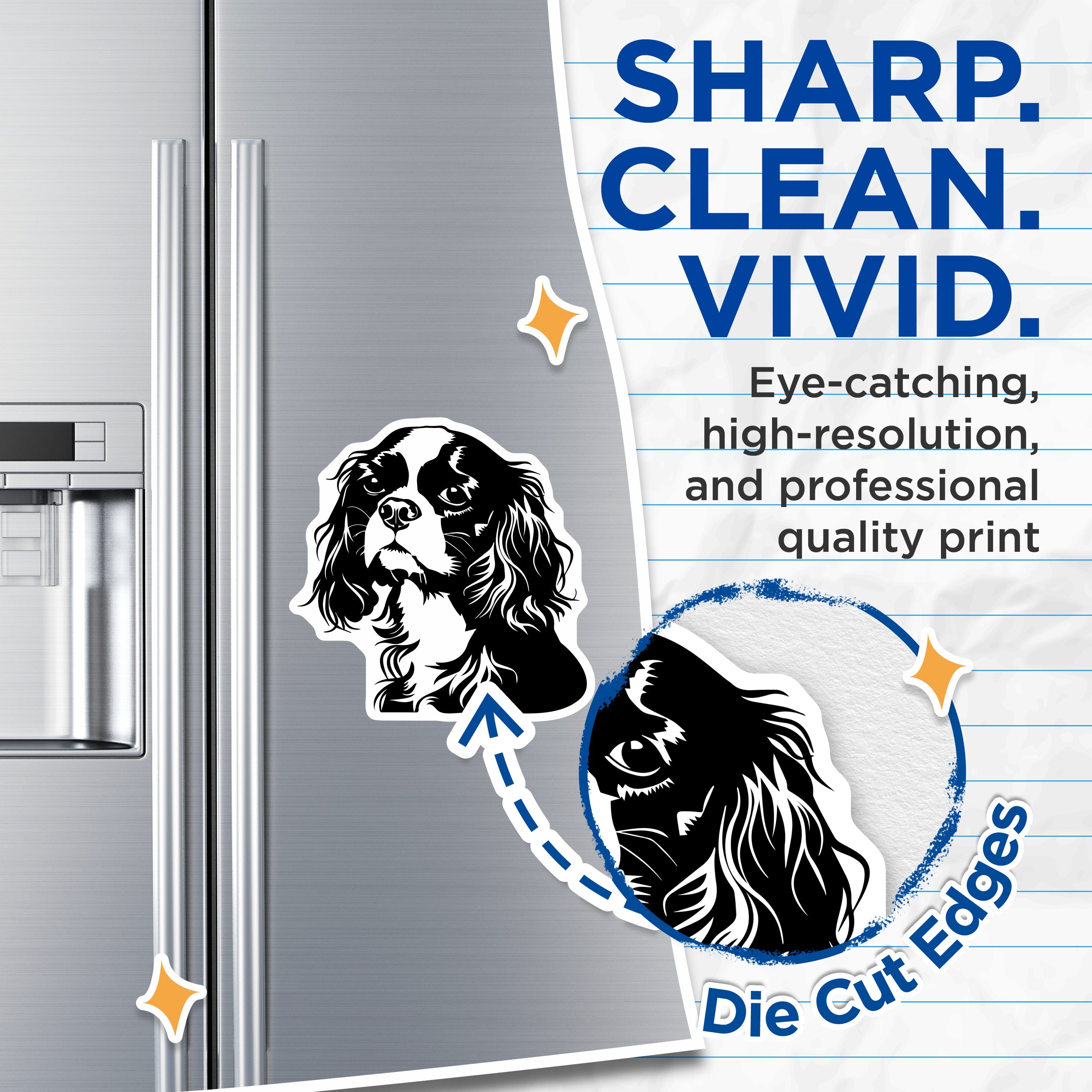 (2 Pack) Cavalier King Charles Spaniel Magnets - Dog Lover Decor - Pet Owner Accessory - 5 Inches On Longest Side - Thick Durable Magnet - Made in USA - MAG36012