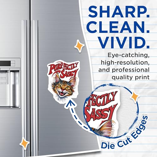 (2 Pack) Purr-fectly Sassy Magnets - Cute Cat Magnets - Fun Fridge Magnets - 5" On Longest Side - for Cars, Fridges, Toolboxes - Made in USA - MAG3957