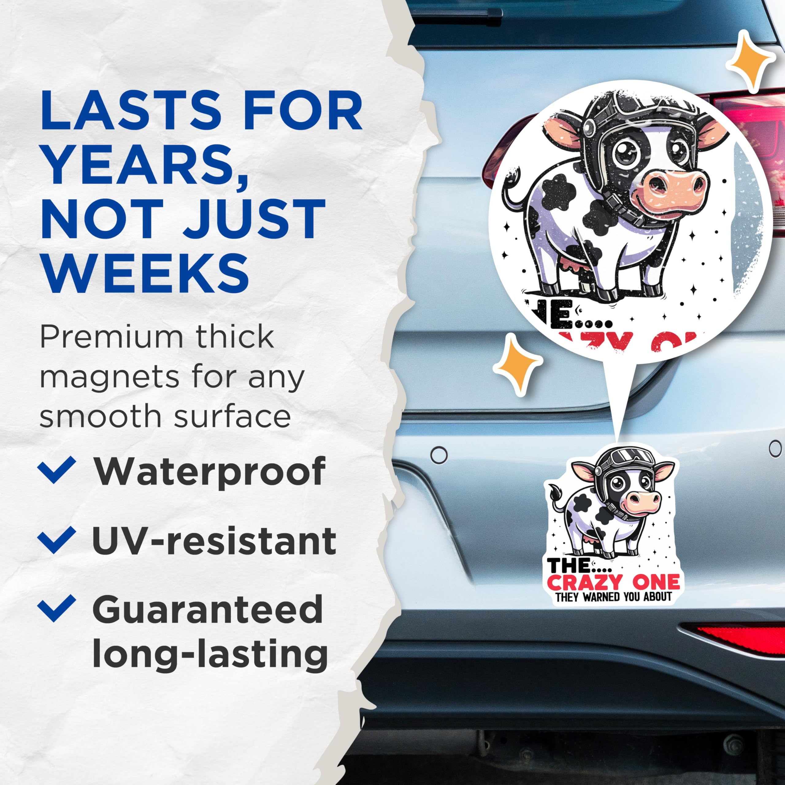 (2 Pack) Crazy Cow Magnets - Animal Humor Magnet - Quirky Home Decor - 5" On Longest Side - Premium Magnet - for Cars, Refrigerators, Toolboxes, Lockers - Made in USA - MAG14699
