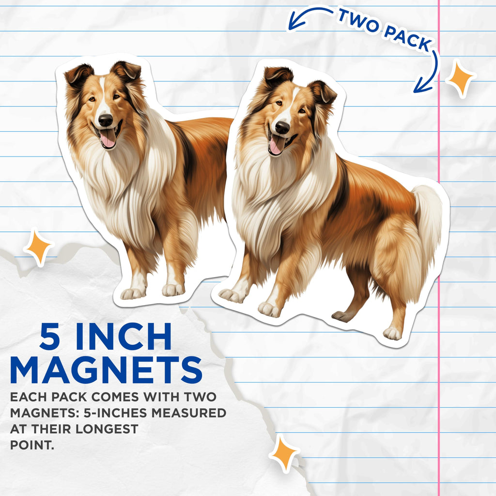 (2 Pack) Rough Collie Magnets - Dog Lover Decor - Pet Parent Accessories - 5 Inches On Longest Side - Thick Durable Magnet - Made in USA - MAG28837