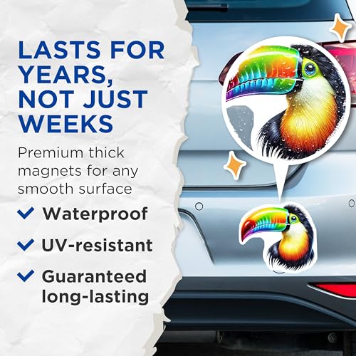 (2 Pack) Toucan Art Magnets - Rainbow Bird Fridge Magnets - Colorful Tropical Magnets for Home or Office - 5" On Longest Side - for Cars, Fridges, Toolboxes - Made in USA - MAG4520