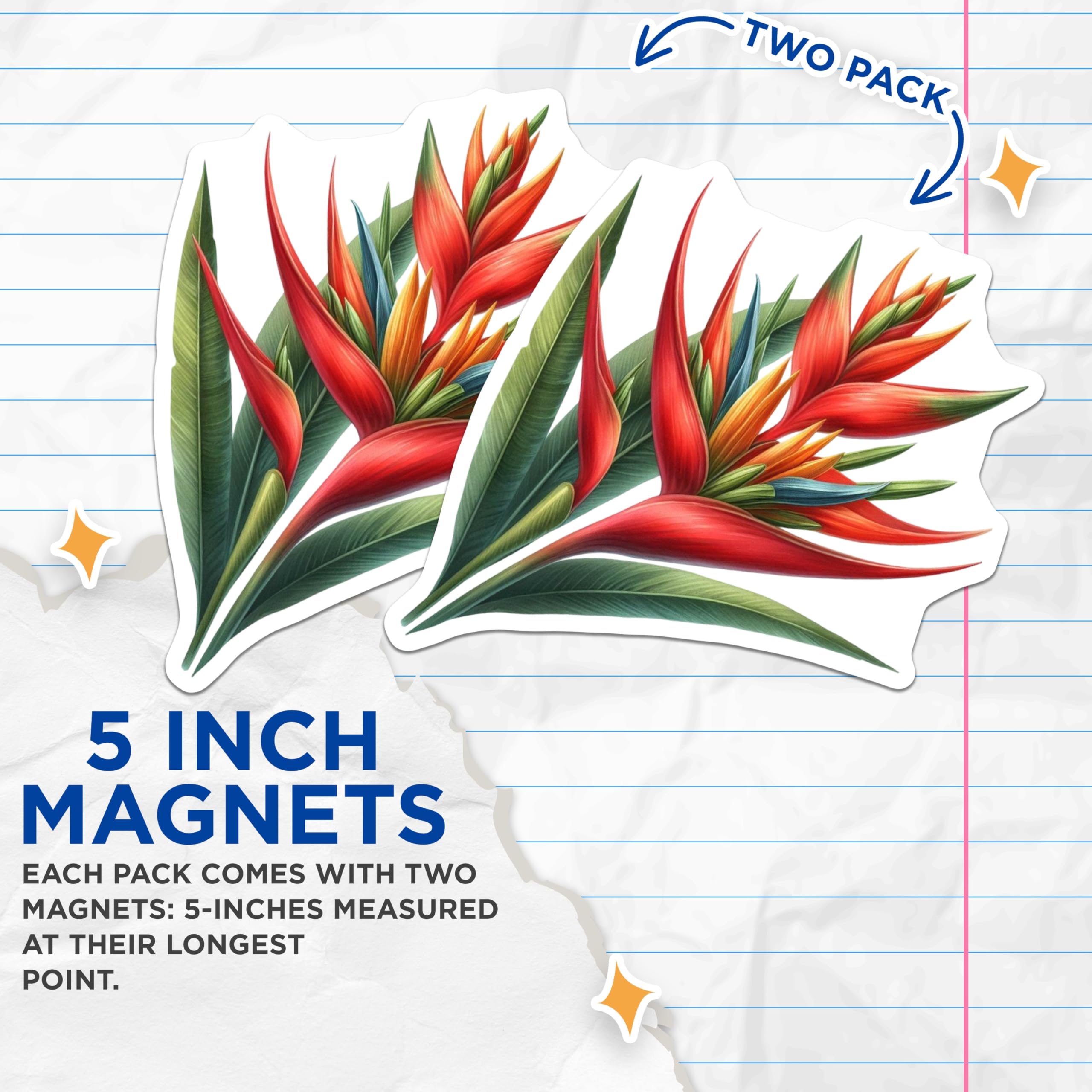 (2 Pack) Bird of Paradise Magnets - Tropical Flower Decor - Exotic Floral Fridge - 5 Inches On Longest Side - Thick Durable Magnet - Made in USA - MAG20876