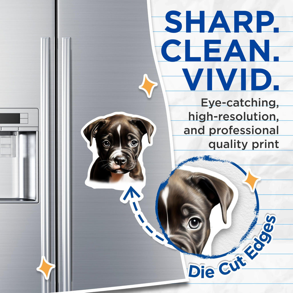 (2 Pack) Cute Pitbull Puppy Magnets - Brindle Dog Fridge - Pet Lover Home Decor - 5 Inches On Longest Side - Thick Durable Magnet - Made in USA - MAG25545