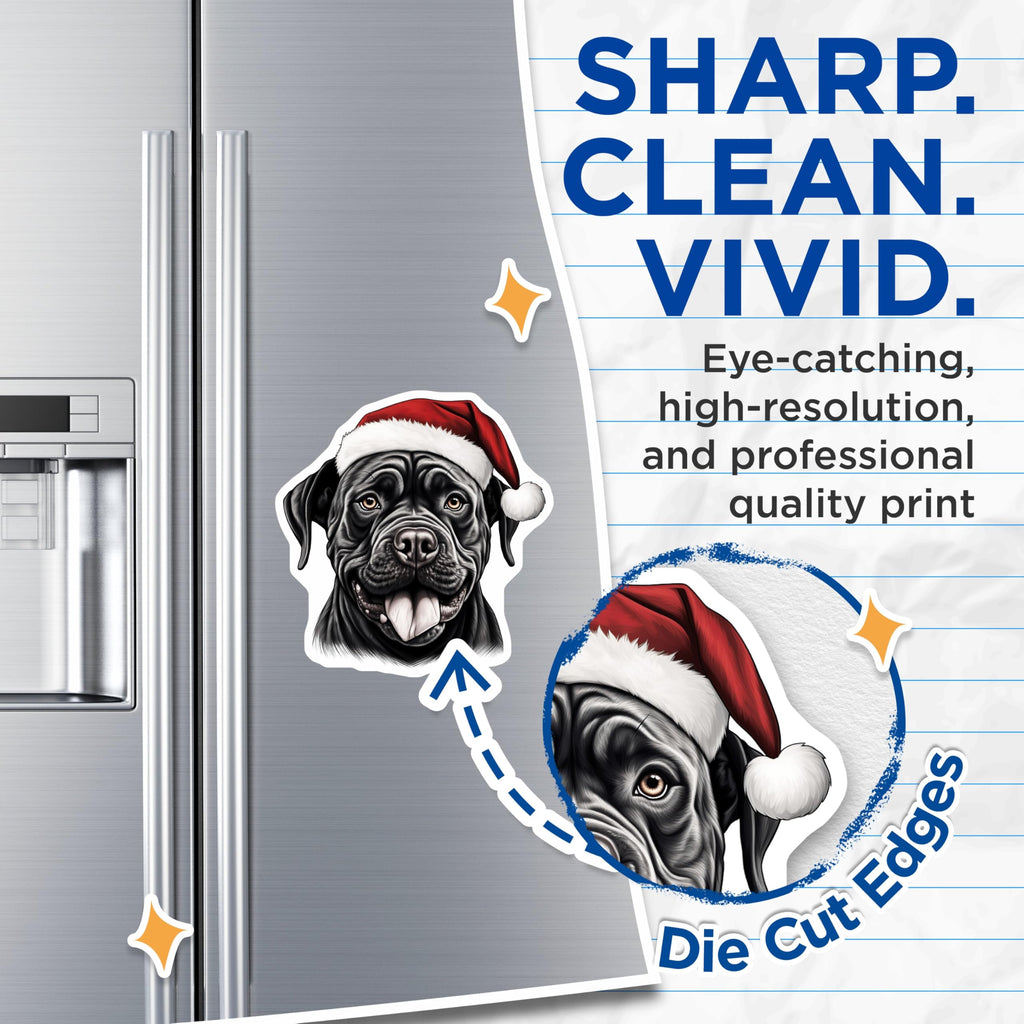 (2 Pack) Cane Corso Christmas Magnets - Santa Dog Holiday Decor - Pet Lover Fridge Accessories - 5 Inches On Longest Side - Thick Durable Magnet - Made in USA - MAG28434