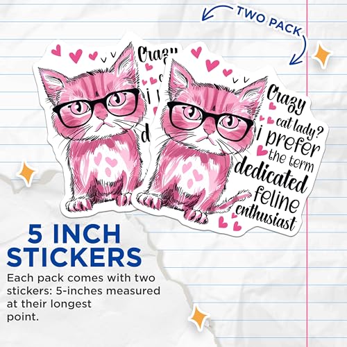 (2 Pack) Crazy Cat Lady Stickers - Funny Cat Quotes Stickers - Cute Cat Enthusiast Stickers - 5" On Longest Side - Sticks to Smooth Flat Surfaces - Made in USA - BMCS4338
