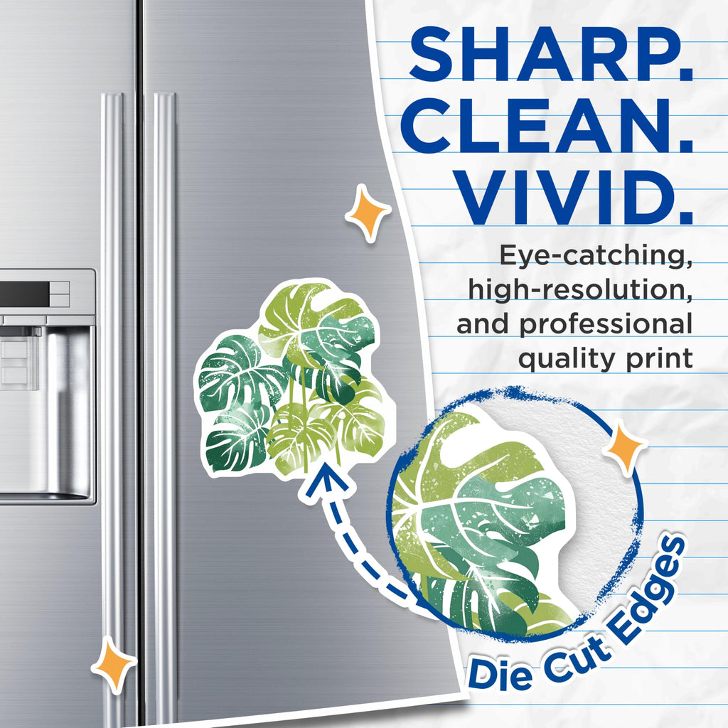 (2 Pack) Monstera Leaf Magnets - Tropical Decor - Botanical Fridge Magnets - 5" On Longest Side - Premium Magnet - for Cars, Refrigerators, Toolboxes, Lockers - Made in USA - MAG18584
