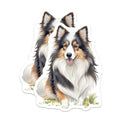 (2 Pack) Sheltie Dog Magnets - Shetland Sheepdog Owner - Watercolor Animal Art Decor - 5 Inches On Longest Side - Thick Durable Magnet - Made in USA - MAG38728