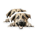 (2 Pack) Dog Lover Stickers - Cute Dog Art - Adorable Puppy Design - 5" On Longest Side - Sticks to Smooth Flat Surfaces - Made in USA - BMCS9834
