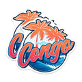 (2 Pack) Congo Magnets - Travel Souvenir - Palm Tree Beach Fridge Decoration - 5" On Longest Side - Premium Magnet - for Cars, Refrigerators, Toolboxes, Lockers - Made in USA - MAG18484
