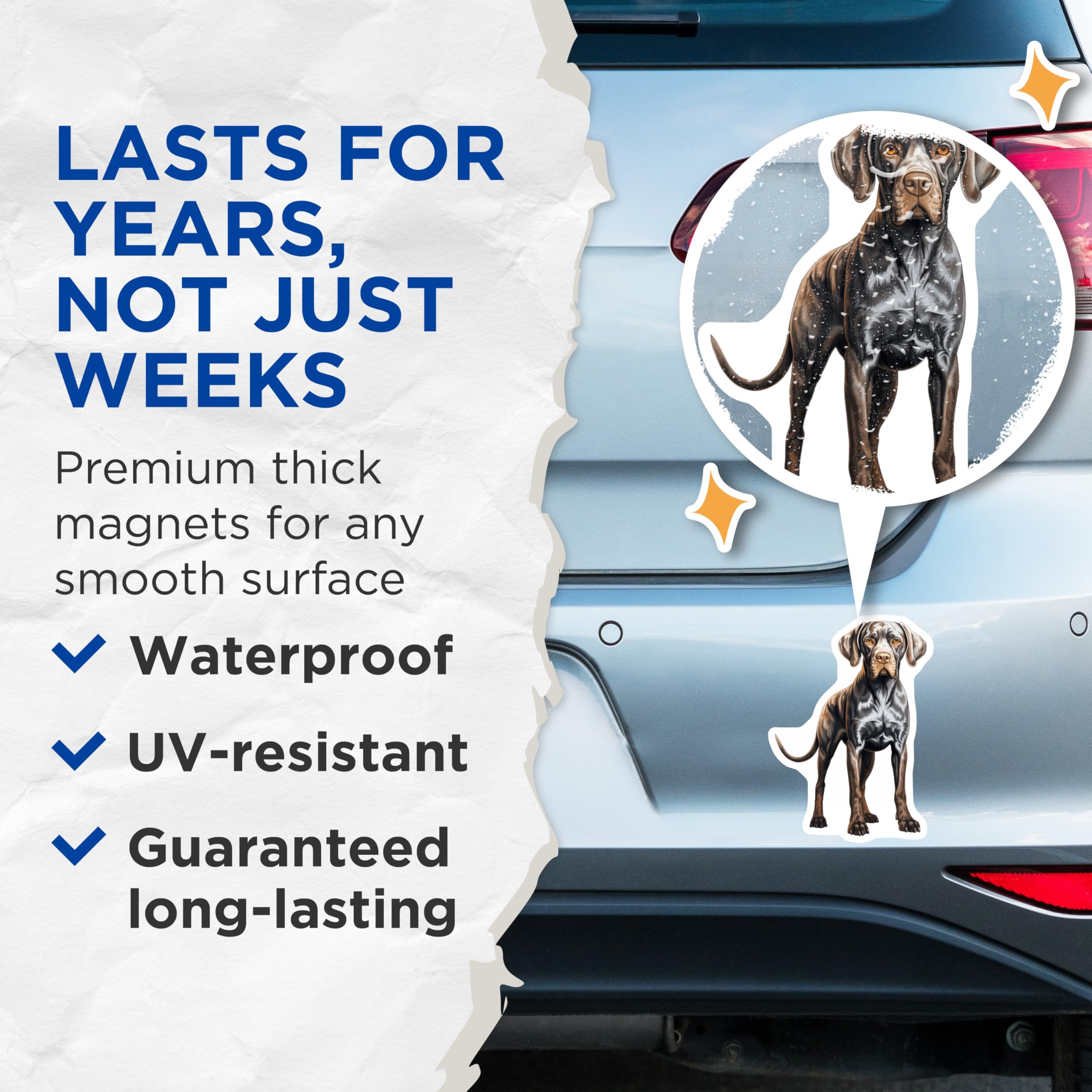 (2 Pack) German Shorthaired Pointer Magnets - GSP Dog Art - Pet Lover Fridge Decor - 5 Inches On Longest Side - Thick Durable Magnet - Made in USA - MAG24172