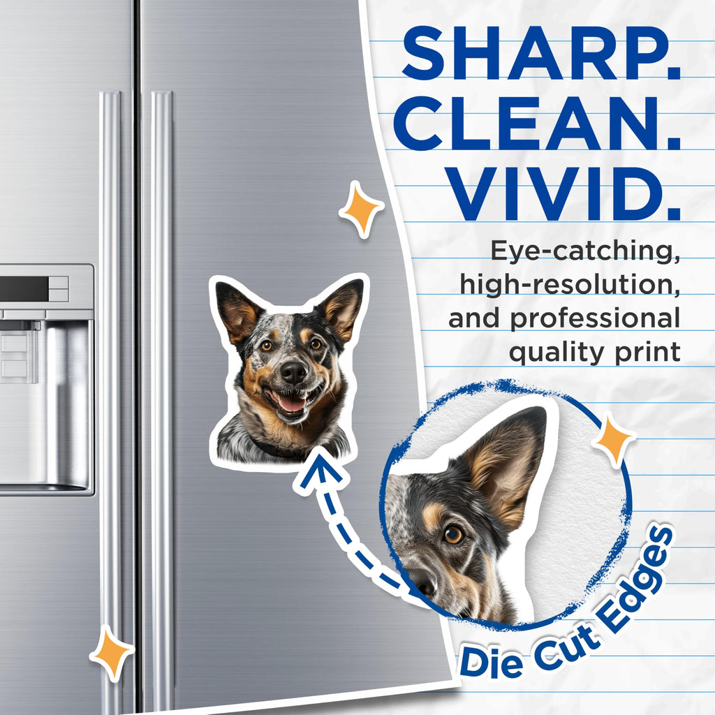 (2 Pack) Australian Cattle Dog Magnets - Blue Heeler Smiling - Happy Dog Lover Kitchen Decor - 5 Inches On Longest Side - Thick Durable Magnet - Made in USA - MAG29334