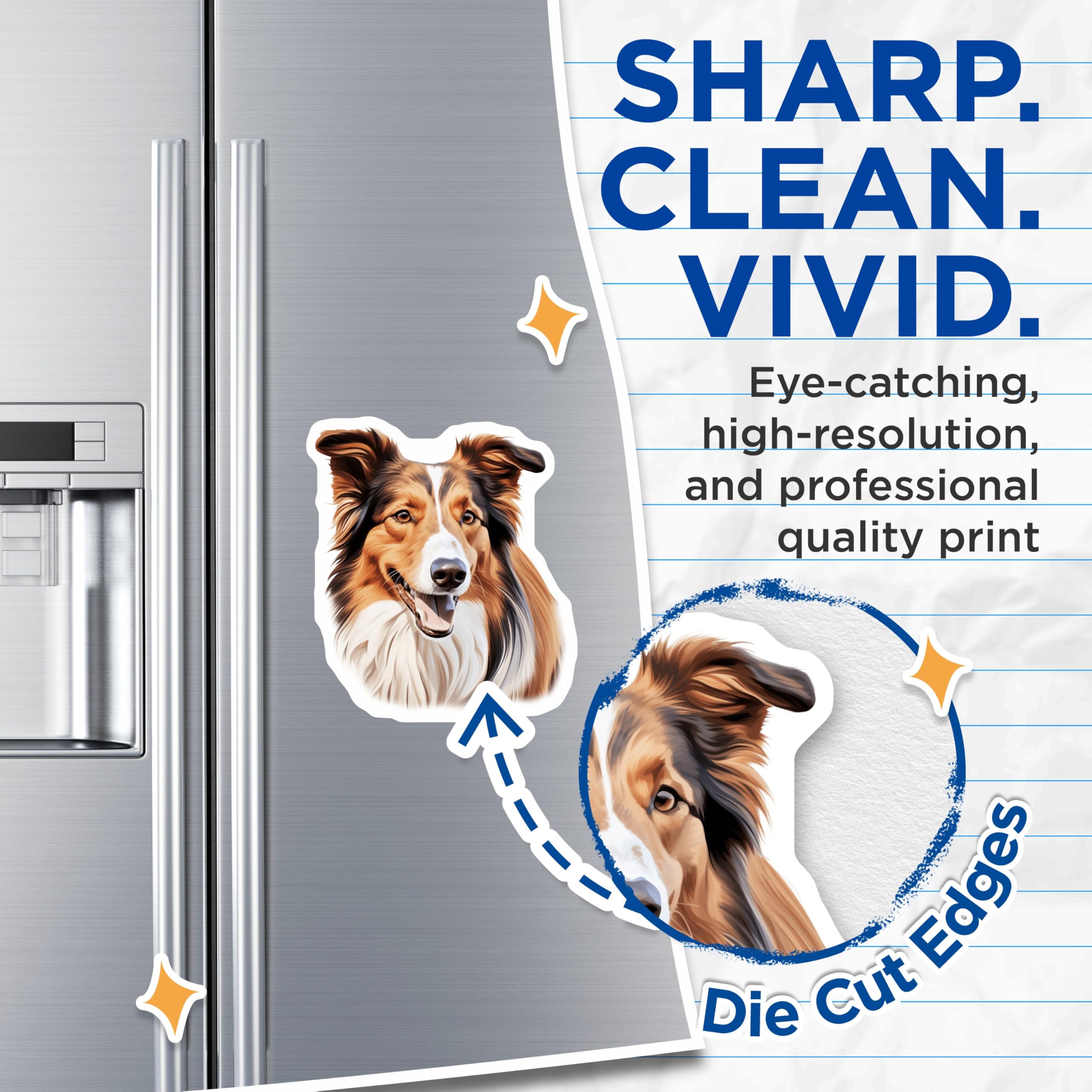 (2 Pack) Collie Dog Magnets - Dog Lover Decor - Pet Portrait Refrigerator Accent for Collie Owners - 5 Inches On Longest Side - Thick Durable Magnet - Made in USA - MAG30354