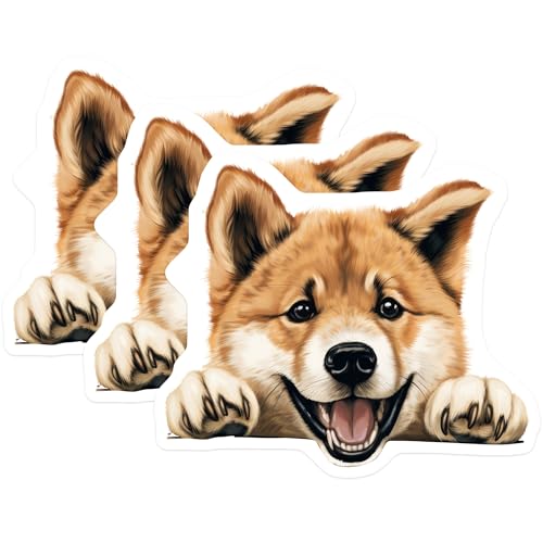 (3 Pack) Shiba Inu Decals - Cute Dog Sticker - Laptop Decals - 3 Inches On Longest Side - Easy Peel & Apply - Made in USA - 3MCS8581